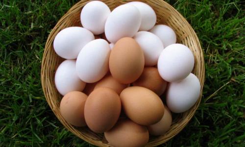 Чем опасна погоня за чистотой и привычка мыть яйца заранее